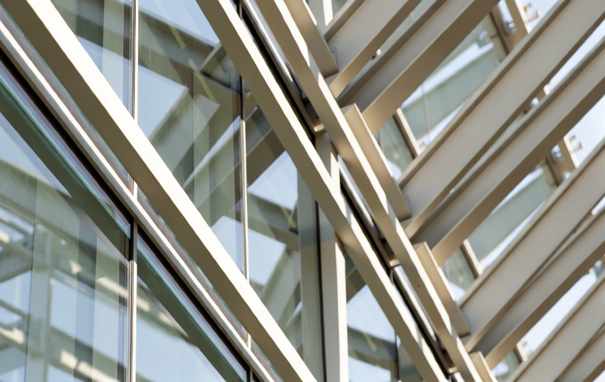 Scale and Optimization